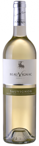 IGP COTES DE THAU - 100% SAUVIGNON BLANC - Vin Blanc